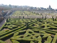 topiary-800px-Villandry_Gardens.jpg