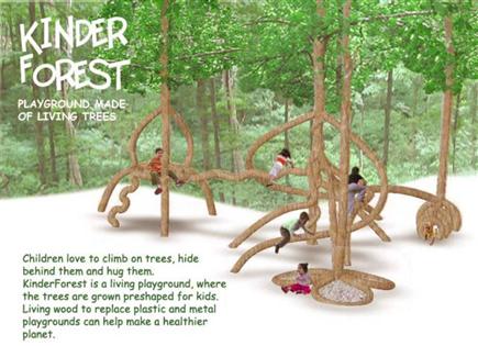 kinderforest-1.jpg