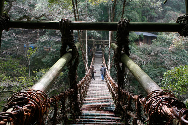 a képek forrása: https://www.mailments.com/2011/08/very-interesting-living-root-bridges/