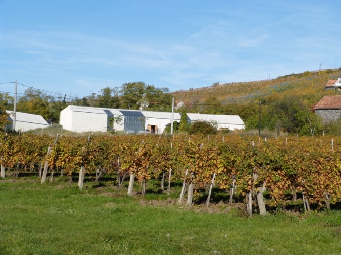 20131022-badacsony-laposa-pinceszet-001