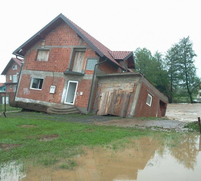 živinice 2