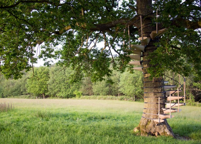 canopy-tree-staircase-addition